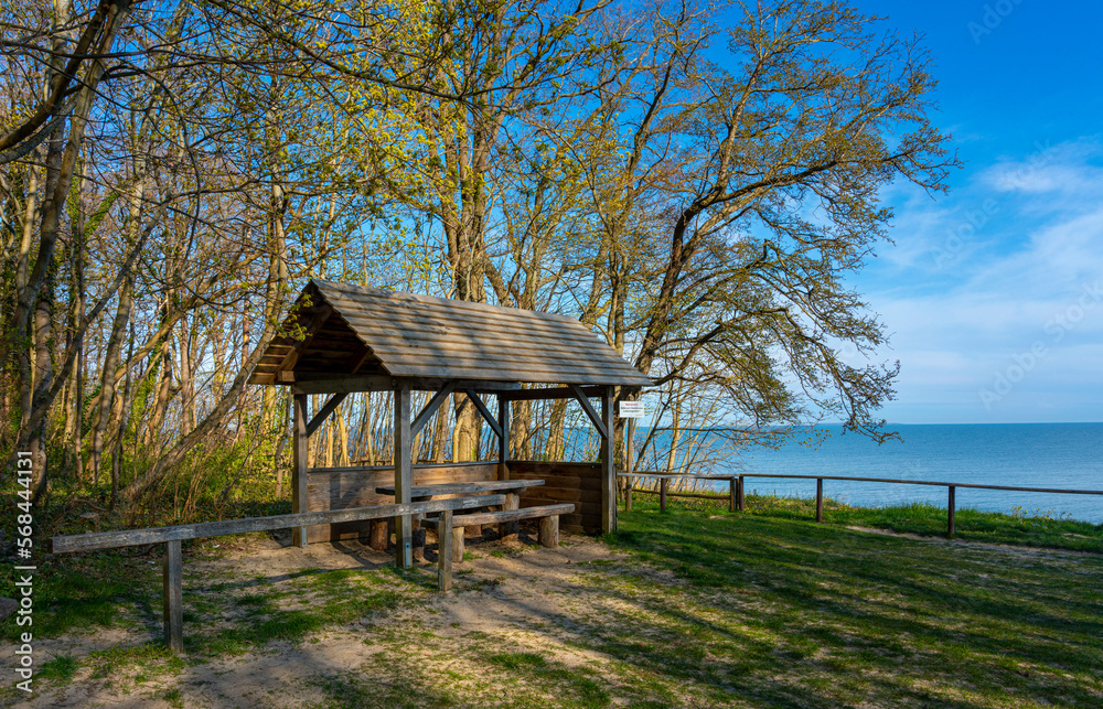 Wald und Wandergebiet bei Göhren, Insel Rügen, Mecklenburg-Vorpommern, Deutschland Wald und Wandergebiet bei Göhren, Insel Rügen, Mecklenburg-Vorpommern, Deutschland