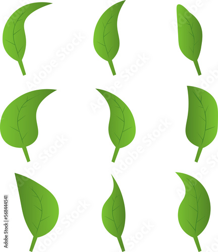 Eco green color leaf vector logo flat icon set. Isolated leaves shapes. Bio plant and tree floral forest concept design.