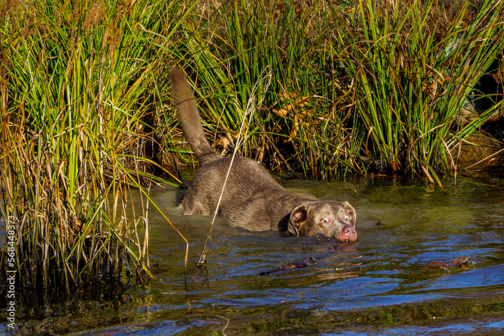 Fototapeta premium I need this Stick