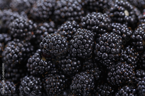 fresh blackberries as background