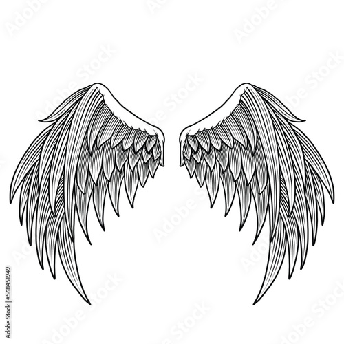 angel wings set