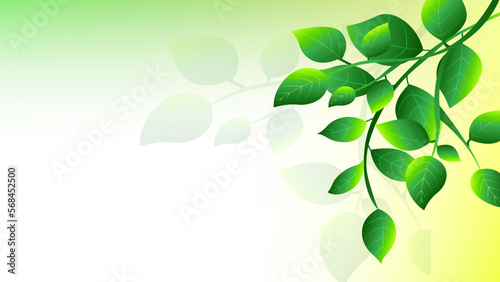 green leaves background