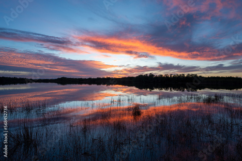 Colorful sunrise cloudscape reflected in calm water of Nine Mile Pond in Everglades National Park, Florida.