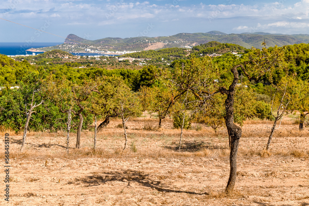 The Natural Side to Ibiza away from the tourist areas