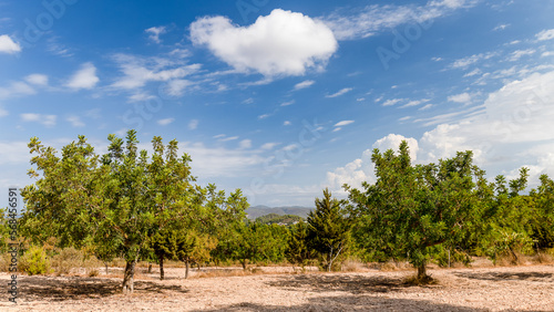 The Natural Side to Ibiza away from the tourist areas