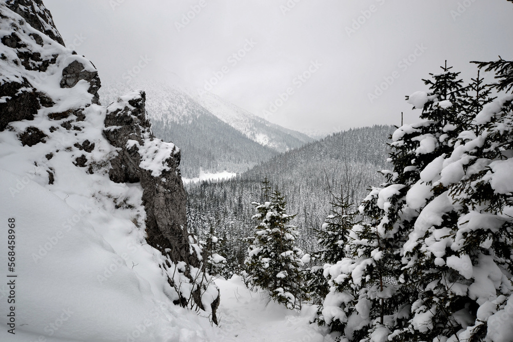 Tatry, zagrożenie lawinowe, zima, śnieg, zamknięte szlaki, góry, niebezpiecznie, - obrazy, fototapety, plakaty 