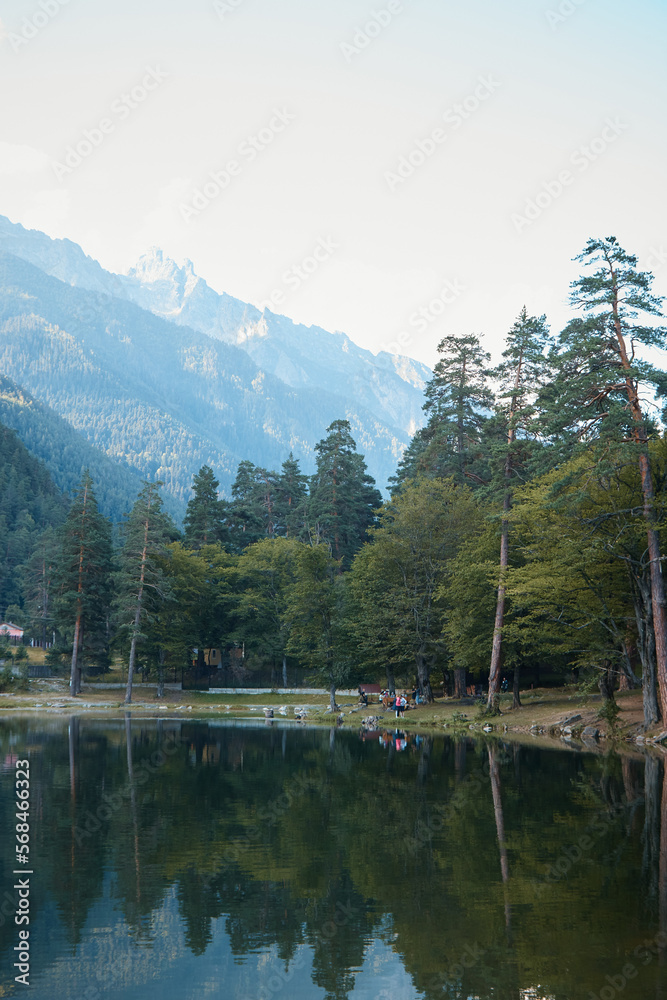 summer landscape, lake in the mountains, water surface, fallen trees, coniferous forest and the first snow, mountains on the background