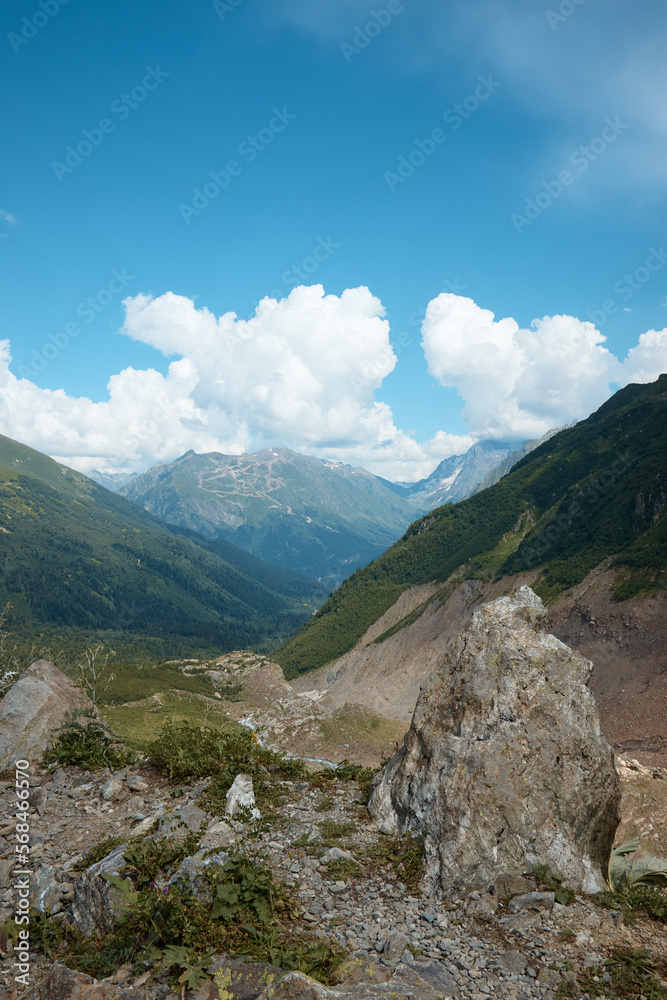 mountain landscape, forest on the slope and rocks in the clouds, evening in the highlands, summer mountain landscape, forest on the slope and rocks in the clouds, evening in the highlands, summer
