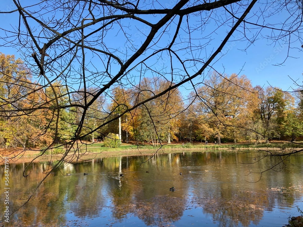 Obraz premium Herbst
