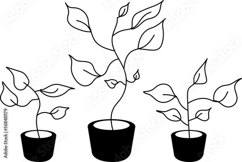 Plants in pots. Hand drawn vector illustration isolated on white background.