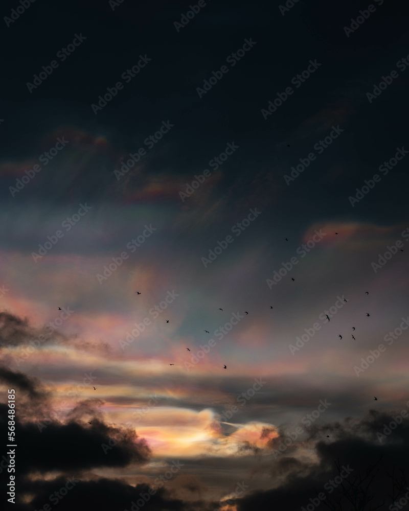 Polar stratospheric clouds Polar stratospheric clouds