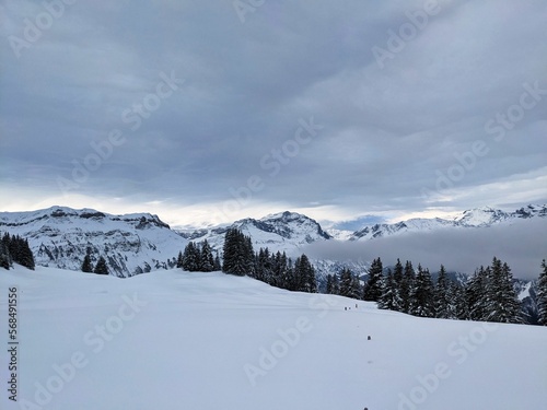 Ski tour in the Glarus Alps. From Weissenberg to the Fuggstock. Through freshly snow covered forests to the summit. Skitouring in the AlpsHigh quality photo. © SimonMichael