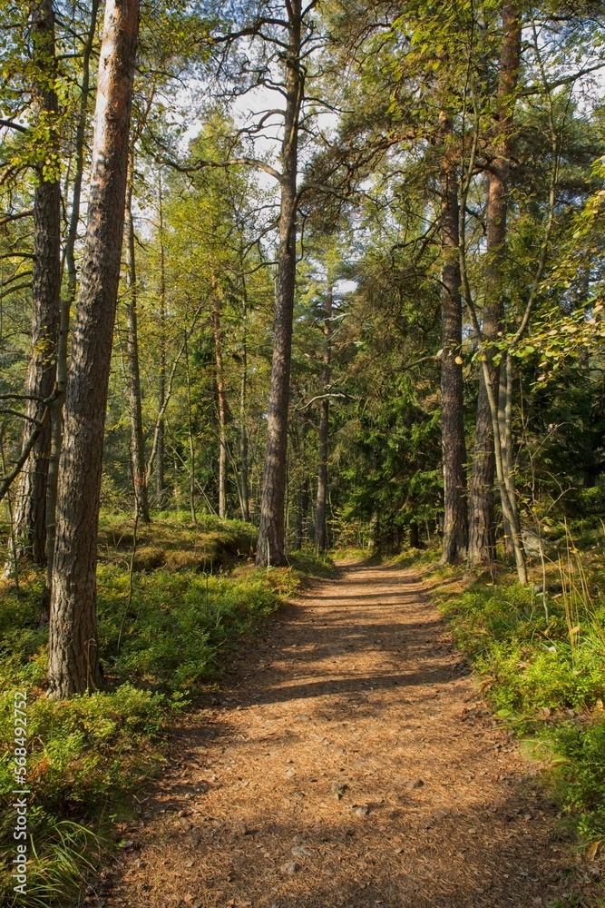 View of pathway through forest with clouds in the sky in autumn, Kaitalahti, Helsinki, Finland. View of pathway through forest with clouds in the sky in autumn, Kaitalahti, Helsinki, Finland.