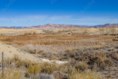 High desert landscape in western Colorado