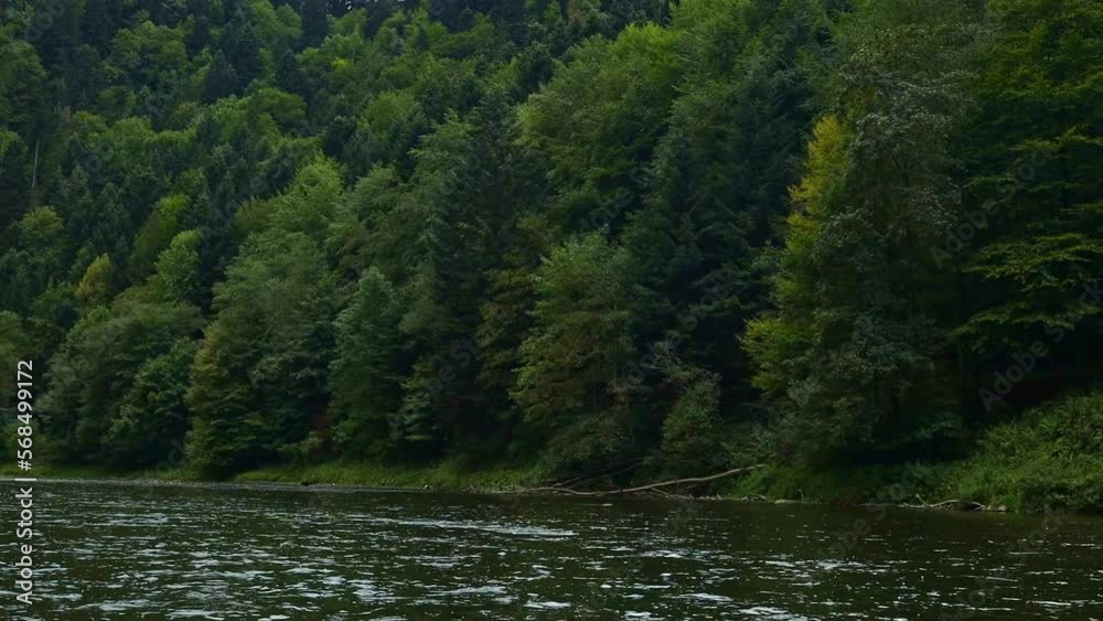 Pure water in a mountain forest lake with pine trees. View on the lake between mountain forest. Over crystal clear mountain lake water. Fresh water Pure water in a mountain forest lake with pine trees. View on the lake between mountain forest. Over crystal clear mountain lake water. Fresh water