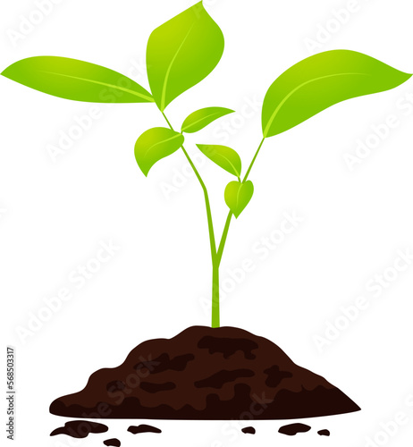 Young green plant growing from soil on isolated white background. Vector illustration.