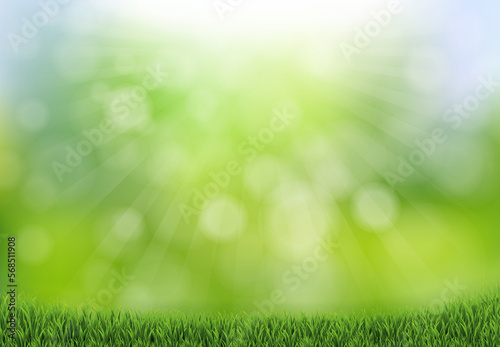 Fototapeta Naklejka Na Ścianę i Meble -  Nature Background With Grass And Bokeh