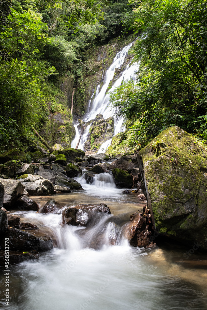 Fototapeta premium waterfall