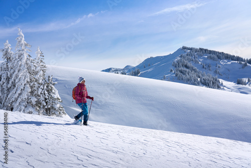 nice and active senior woman snowshoeing in deep powder snow in themountains of the Allgau alps near Balderschwang, Bavaria, Germany 