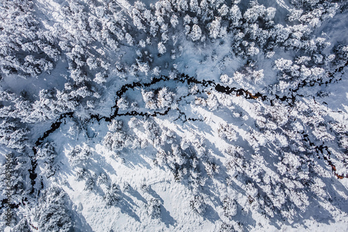 River covered covered by snow in middle of snowy forest trees on a winter day. Alpine landscape. Wintertime, vacations, travel, nature and tourism. Top down drone shot.