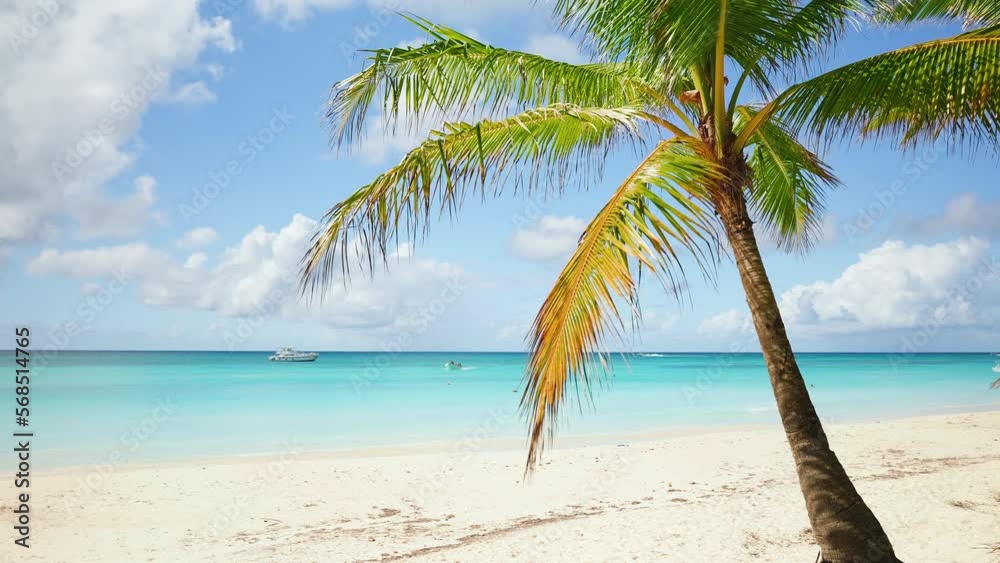 Paradise sunny beach with coconut palms on a sandy beach and blue sea. Popular tourist destination in summer. Beautiful white beaches of Mauritius island. Summer travel concept. Rest on the sea. Paradise sunny beach with coconut palms on a sandy beach and blue sea. Popular tourist destination in summer. Beautiful white beaches of Mauritius island. Summer travel concept. Rest on the sea.