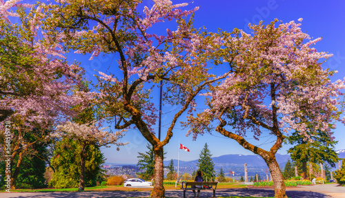 Enjoying scenic view down Burrard Inlet, BC, while surrounded by Spring blossoms.