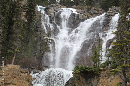 Tangle Falls  Jasper National Park  Alberta