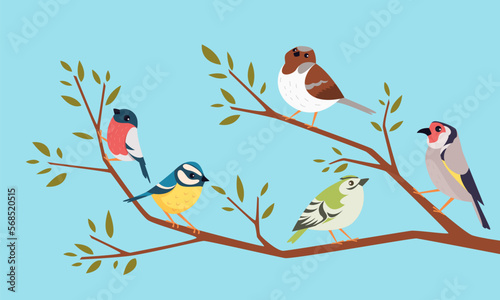 Birds on a branch. Cartoon animals sitting on branch funny pigeons and sparrows exact vector background