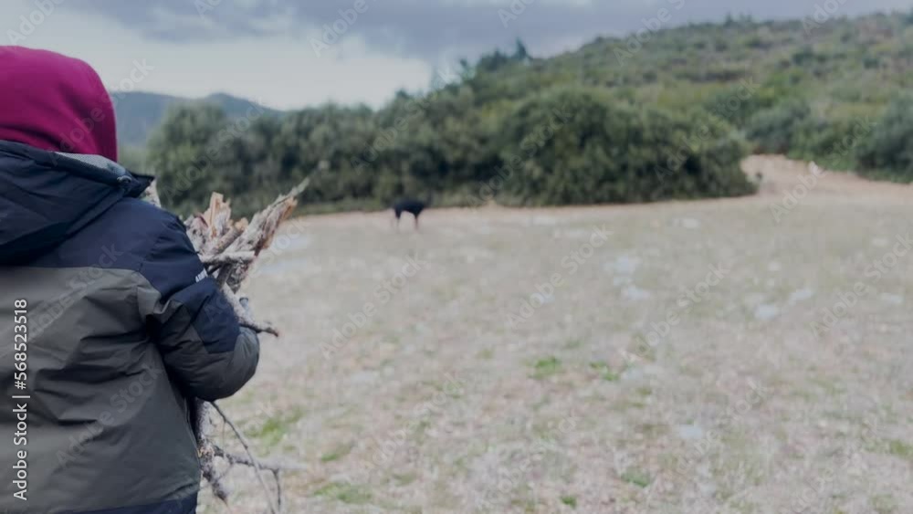 Young Boy Wearing Hood, Carrying Wood, Snowy Field Windy Winter Day Young Boy Wearing Hood, Carrying Wood, Snowy Field Windy Winter Day