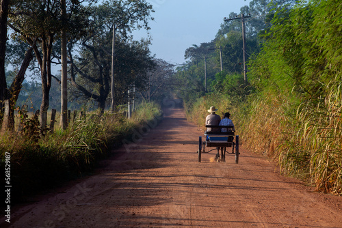 Wagon on the dirt road toward the horizon in countryside of Sao Paulo state, Brazil