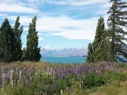 Landschaft Neuseeland 