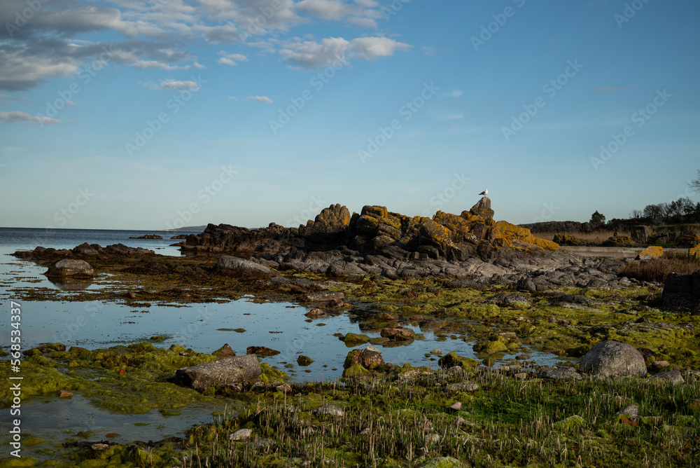 Colorful wide angle shot of rock formation with a seagull on top in Allinge on Bornholm in the baltic sea 