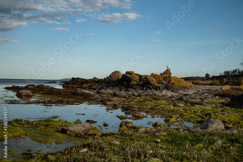 Colorful wide angle shot of rock formation with a seagull on top in Allinge on Bornholm in the baltic sea 