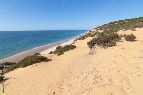 One of the most beautiful beaches in Spain  called  El Asperillo  Do  ana  Huelva  in Spain.  Surrounded by dunes  vegetation and cliffs.  A gorgeous beach.