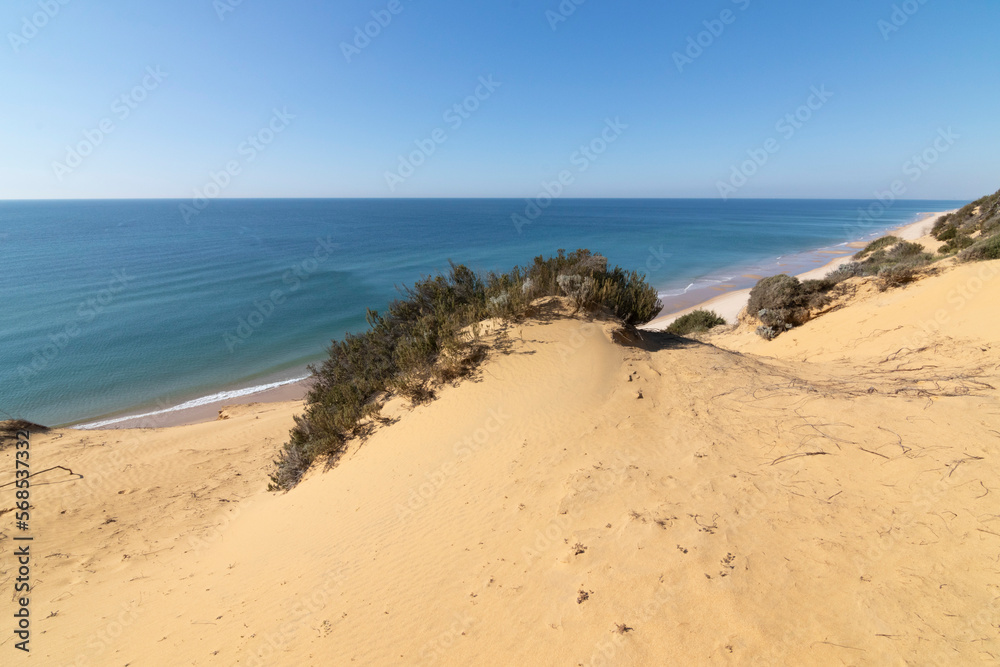 One of the most beautiful beaches in Spain, called (El Asperillo, Doñana, Huelva) in Spain. Surrounded by dunes, vegetation and cliffs. A gorgeous beach. One of the most beautiful beaches in Spain, called (El Asperillo, Doñana, Huelva) in Spain. Surrounded by dunes, vegetation and cliffs. A gorgeous beach.