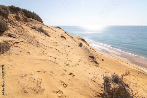 One of the most beautiful beaches in Spain, called (El Asperillo, Doñana, Huelva) in Spain.  Surrounded by dunes, vegetation and cliffs.  A gorgeous beach.