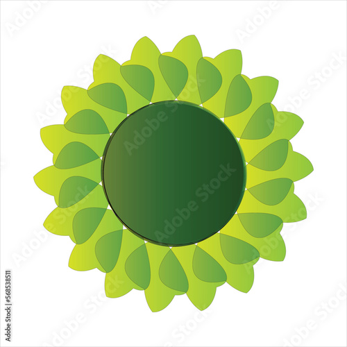 Vector beautiful flowerplant illustration photo