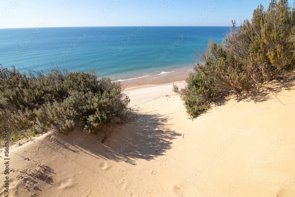 One of the most beautiful beaches in Spain, called (El Asperillo, Doñana, Huelva) in Spain. Surrounded by dunes, vegetation and cliffs. A gorgeous beach. One of the most beautiful beaches in Spain, called (El Asperillo, Doñana, Huelva) in Spain. Surrounded by dunes, vegetation and cliffs. A gorgeous beach.