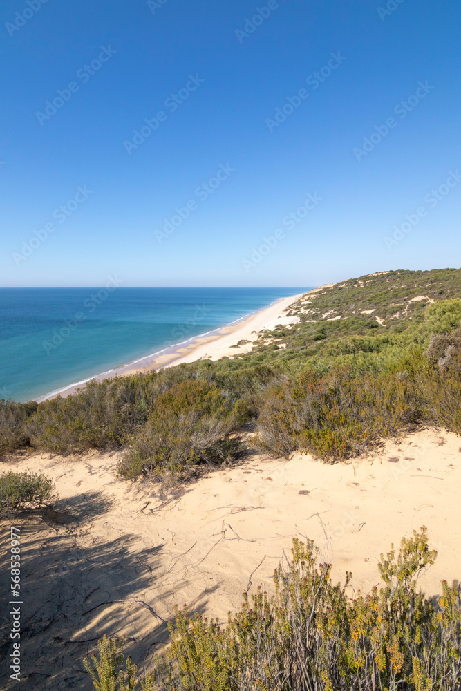 One of the most beautiful beaches in Spain, called (El Asperillo, Doñana, Huelva) in Spain.  Surrounded by dunes, vegetation and cliffs.  A gorgeous beach.