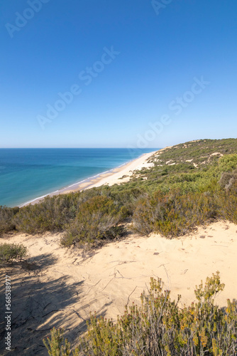 One of the most beautiful beaches in Spain  called  El Asperillo  Do  ana  Huelva  in Spain.  Surrounded by dunes  vegetation and cliffs.  A gorgeous beach.