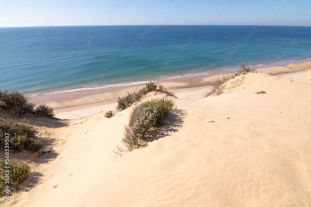 One of the most beautiful beaches in Spain, called (El Asperillo, Doñana, Huelva) in Spain. Surrounded by dunes, vegetation and cliffs. A gorgeous beach. One of the most beautiful beaches in Spain, called (El Asperillo, Doñana, Huelva) in Spain. Surrounded by dunes, vegetation and cliffs. A gorgeous beach.