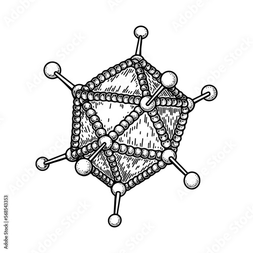Adenovirus isolated on white background. Hand drawn realistic detailed scientifical vector illustration in sketch style