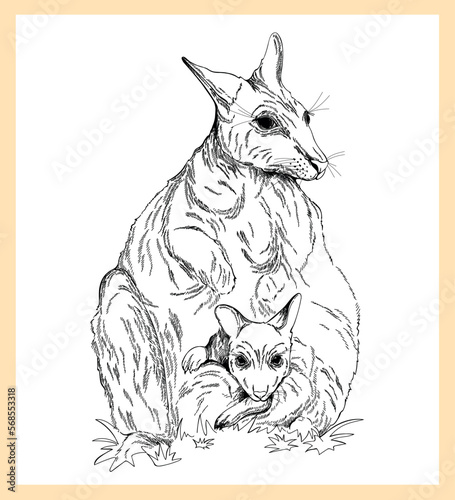 Hand drawn sketch style Kangaroo isolated on white background. Vector illustration.