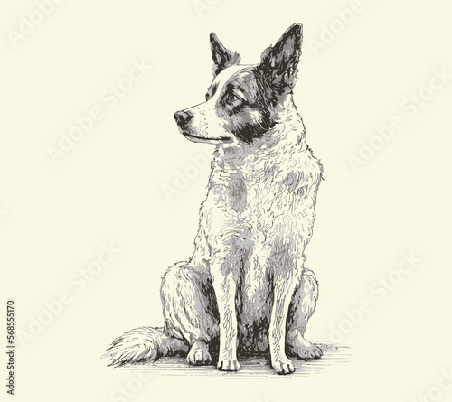 Foto Cute dog sketch hand drawn image