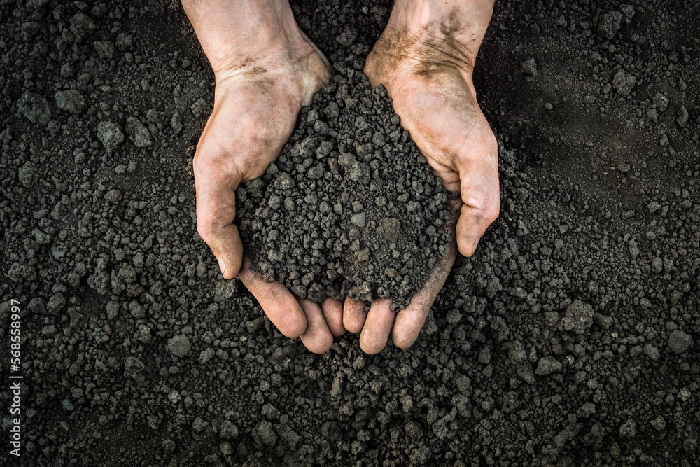 Fotka „Farmer hands soil ground earth dirt garden soil farm ground dirt