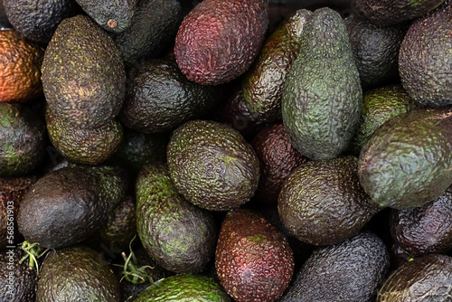 Fresh tropical avocado fruit background, heap of hass avocado. photo