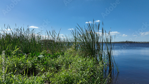 tall green grass along blue lake .