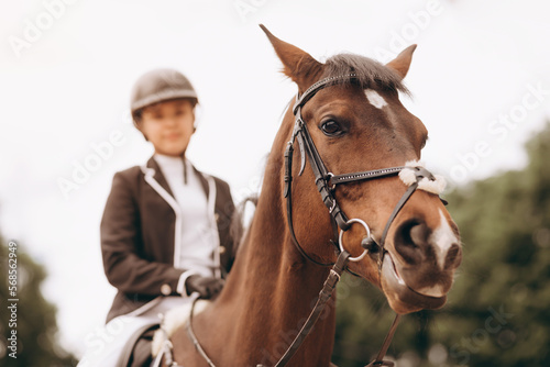 Equestrian sport, female rider on horseback. Horse looking at camera.