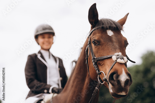 Equestrian sport, female rider on horseback. Horse looking at camera.