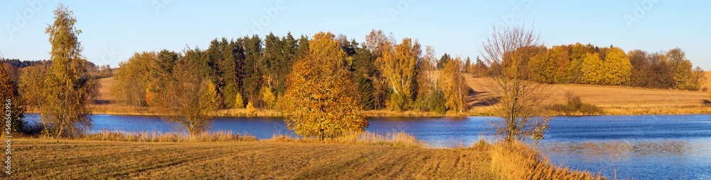 Fototapeta premium autumn view of pond and colorful autumnal forest